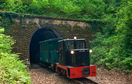 C50-es mozdony az alagút bejáratában
